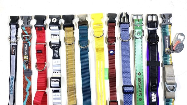 best-dog-collars