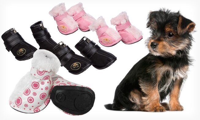 best-dog-walking-shoes